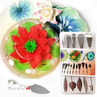 BỘ DỤNG CỤ LÀM RAU CÂU HOA 3D 10 món