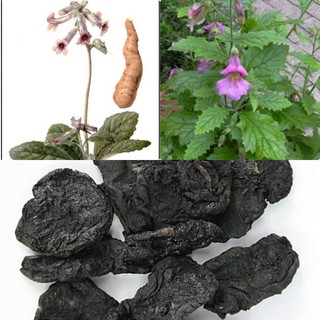 Thục địa cao cấp - Gói 1kg