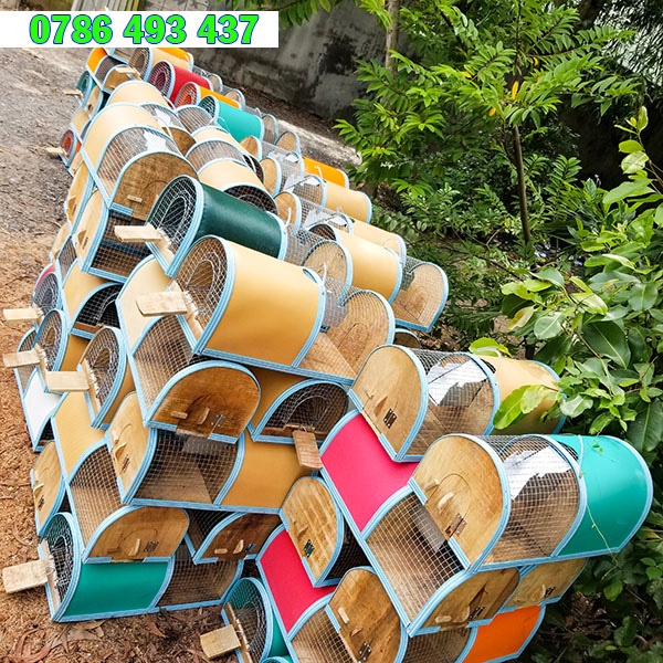 Bẫy chuột thông minh 2 ngăn, bắt nhiều con cùng một lúc