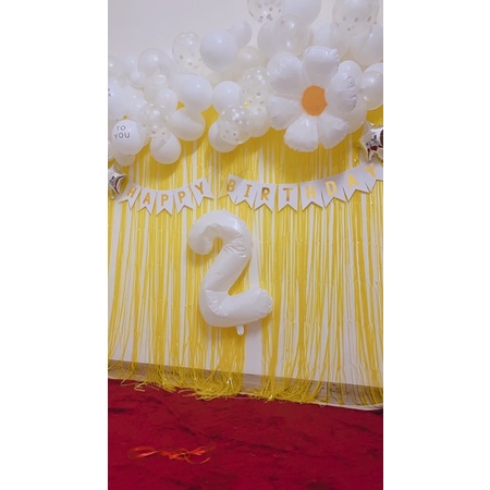 Rèm kim tuyến màu pastel trang trí sinh nhật siêu xinh 1mx2m