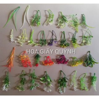 CỎ ĐIỂM KÝ - 1KG trộn nhiều mẫu