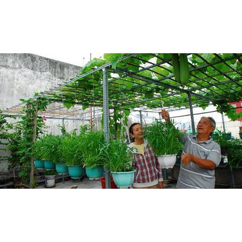Kệ sắt trồng rau thông minh 2 tầng dùng cho 6 khay trồng rau kích cỡ 67x43x15 cm