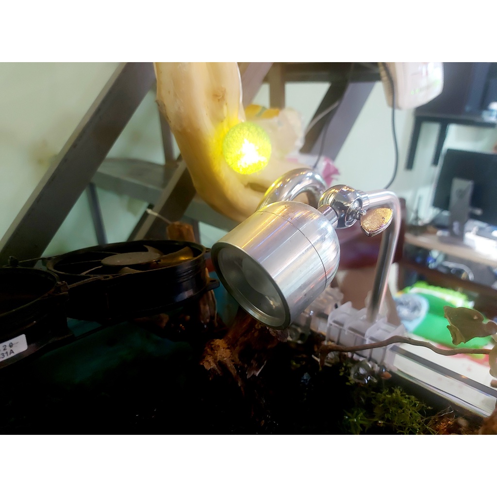 ĐÈN RỌI 5W / 7W XINMA 3 CHẾ ĐỘ MÀU - ĐÈN XIMA SIÊU RỌI ÁNH SÁNG CHUYÊN DỤNG CHO HỒ CÁ BÁN CẠN, THỦY SINH