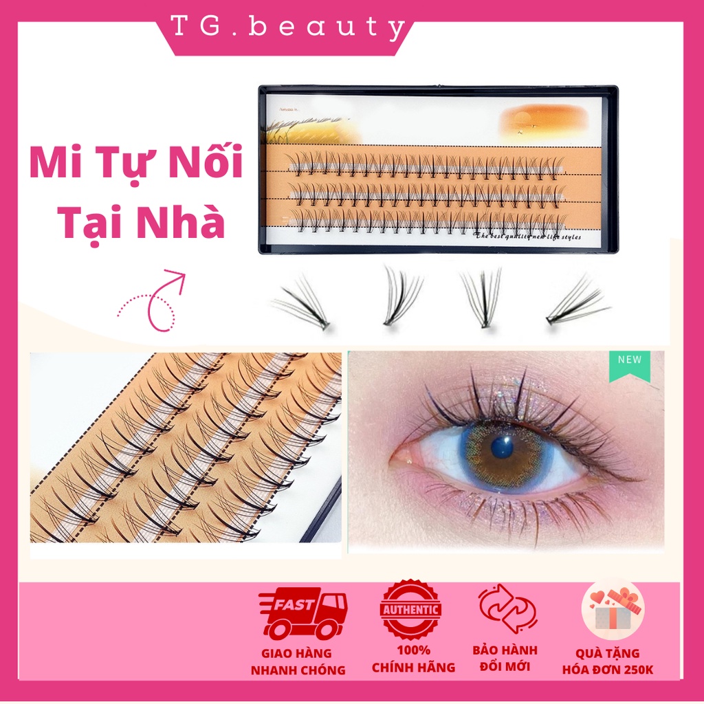 Hộp 75 Cụm Lông Mi Giả Tự Nối Tại Nhà Nối Dài Tự Nhiên Dễ Sử Dụng Trang Điểm Cho Nữ