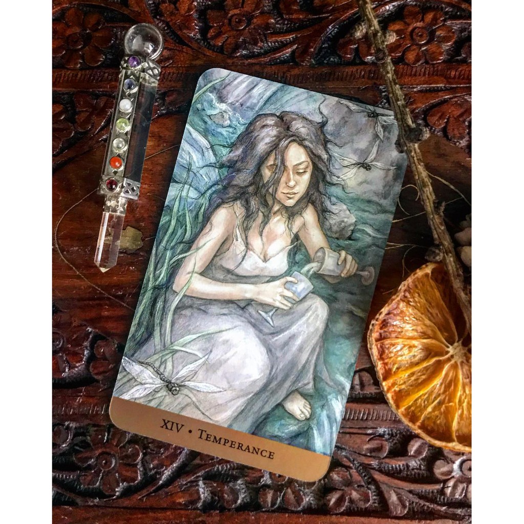 Bộ Bài Tarot of the Hidden Realm (Mystic House Tarot Shop) - Bài Gốc Authentic Chính Hãng 100%