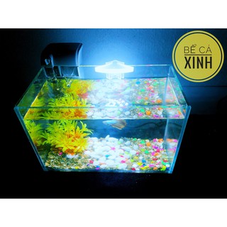 Combo bể cá mini +lọc thác nước ( Tặng thức ăn cho cá + sỏi )