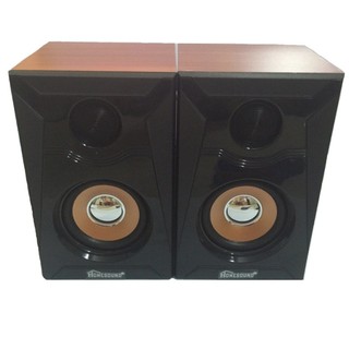 Loa Vi Tính Homesound TH-111 (Đen)