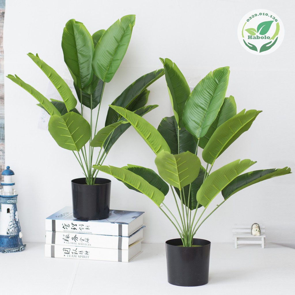 Cây chuối cảnh phong thủy 12 lá size to trang trí nội thất sang trọng - Cây hoa giả.