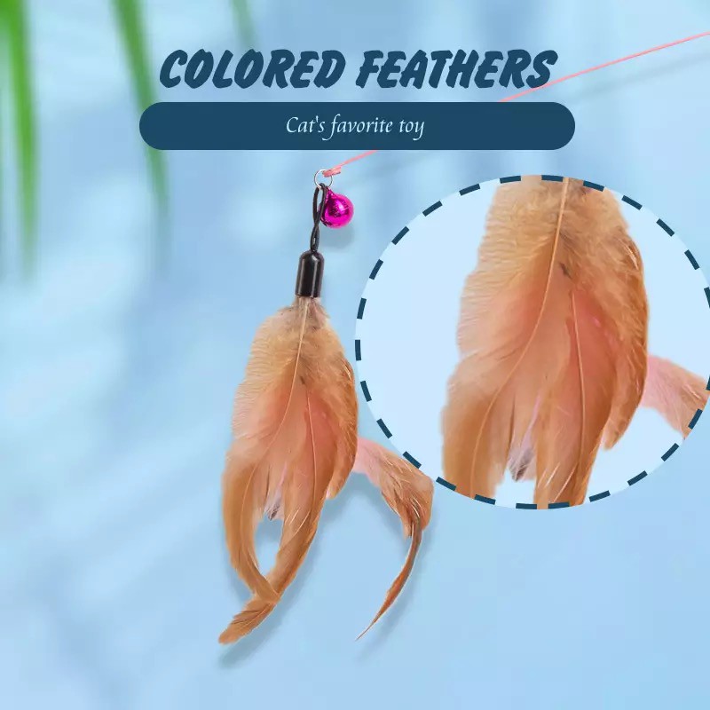 Cần câu mèo. Đồ Chơi Chó Mèo Thông Minh Huấn Luyện Thú Cưng