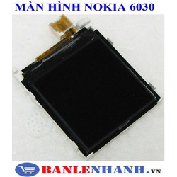 MÀN HÌNH NOKIA 6030