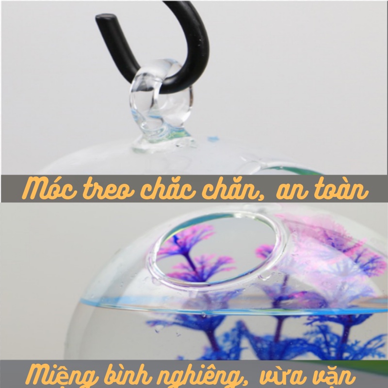 Bể cá mini CHỌN MẪU để bàn làm việc, bể cá treo trang trí