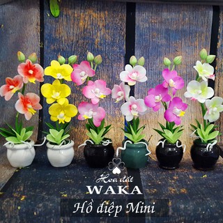 Hoa Đất Sét Mini- Lan Hồ Điệp