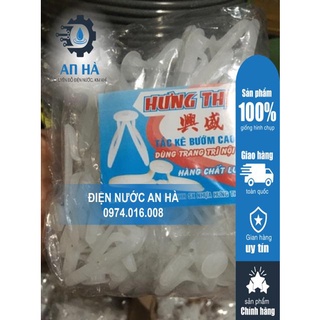 Tắc kê bướm 100 con