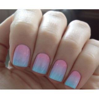 Cọ Ombre thân đá cao cấp [Dụng cụ móng tay]