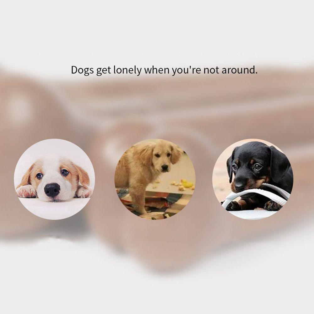 Đồ Chơi Gặm Tương Tác Siêu Bền Giúp Huấn Luyện Thú Cưng