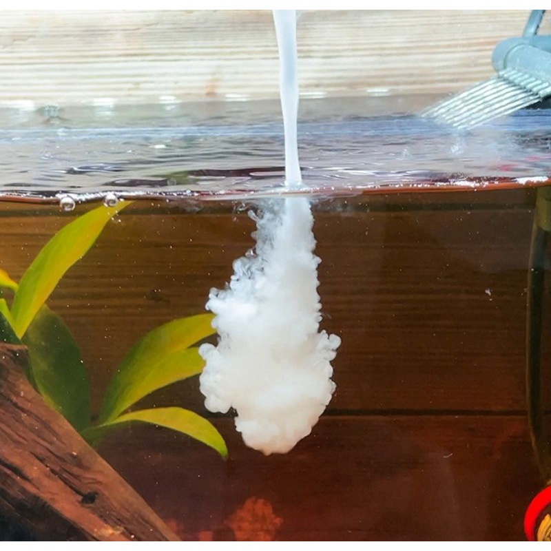 Vi sinh cao cấp cá cảnh CSBIO hạn sử dụng 500ml  14/2/2025