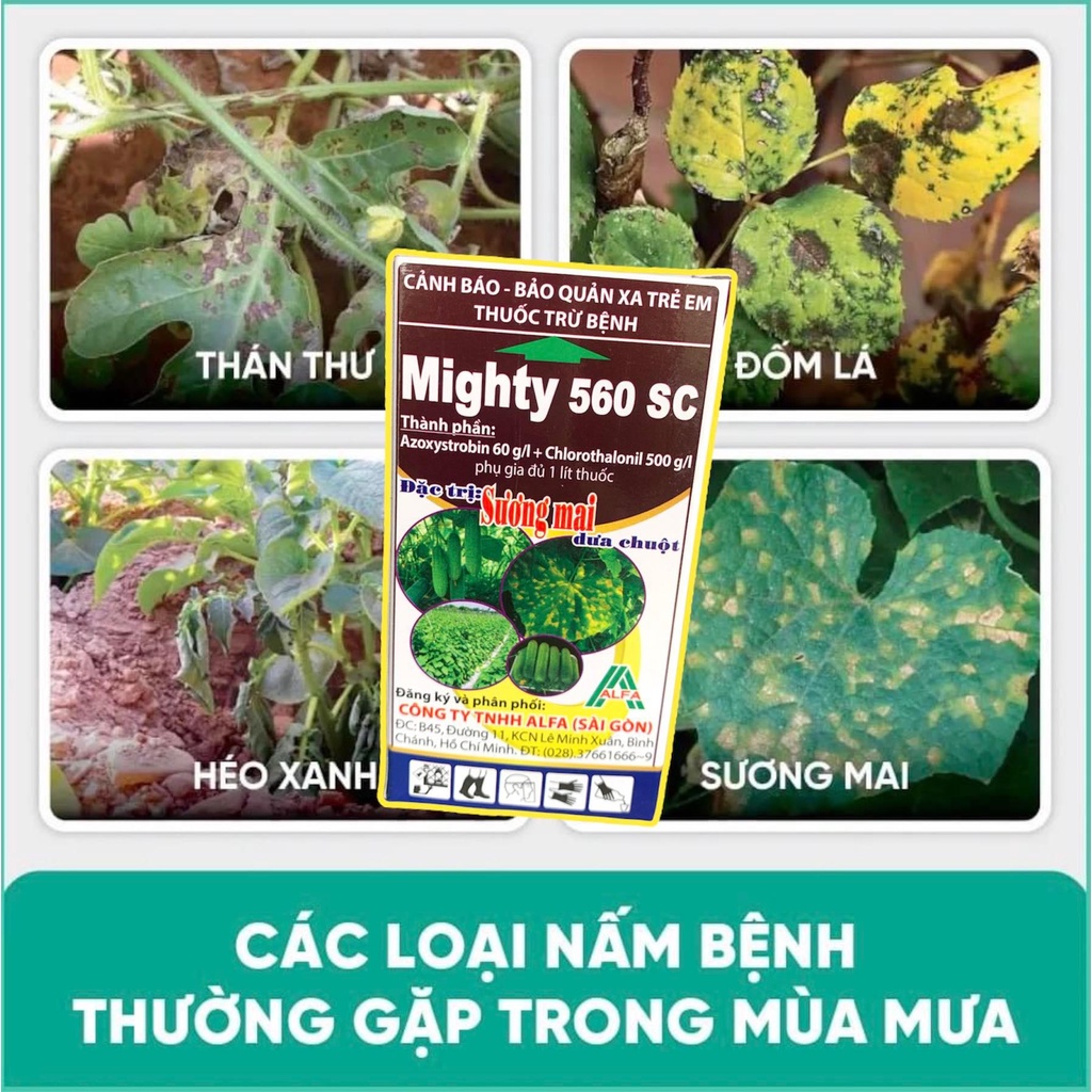 Thuốc trị bệnh cây Mighty 560sc chai 100ml