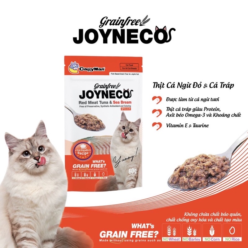 PATE JOYNECO THƠM NGON CHO MÈO THƯƠNG HIỆU CATTYMAN GÓI 60GRAM