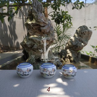 Cóng sứ chào mào đẹp