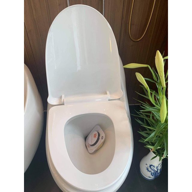 Bồn cầu trứng lớn, bệt trứng men tuyết nano | BigBuy360 - bigbuy360.vn