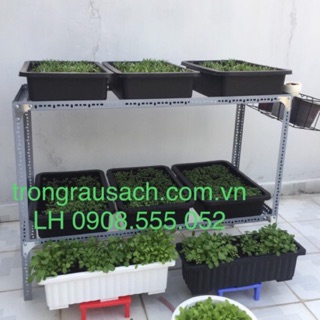 Kệ sắt trồng rau sạch 2 tầng 6 khay (Bao gồm phụ kiện ốc + ke, chưa có khay nhựa )