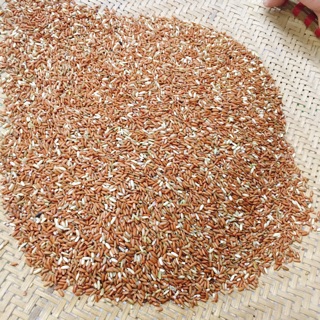 GẠO LỨT ĐỎ ĐIỆN BIÊN ( 2 KG )