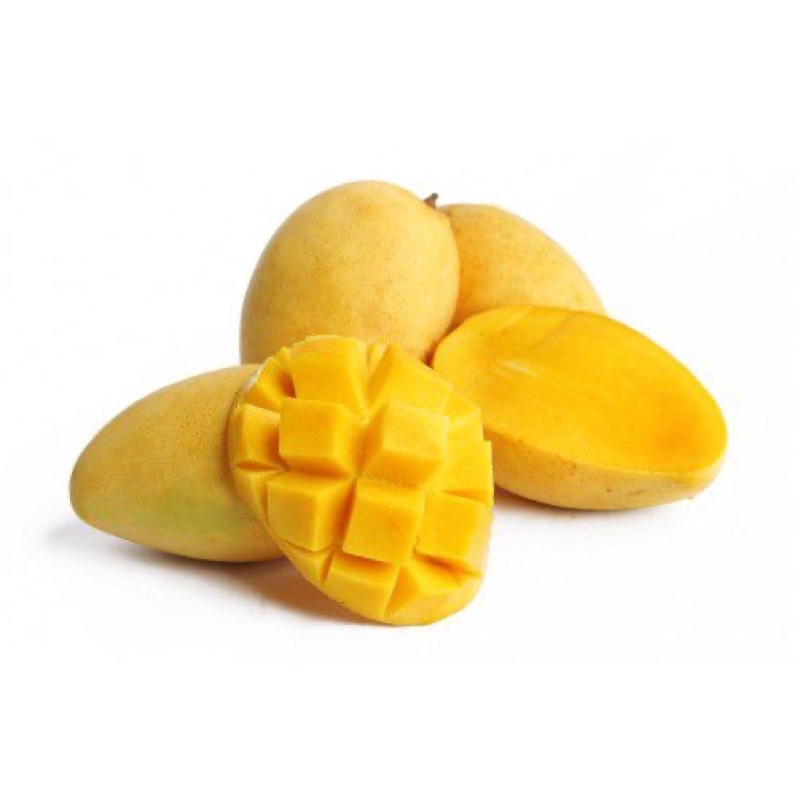 Xoài Cát Chu Cao Lãnh Đồng Tháp