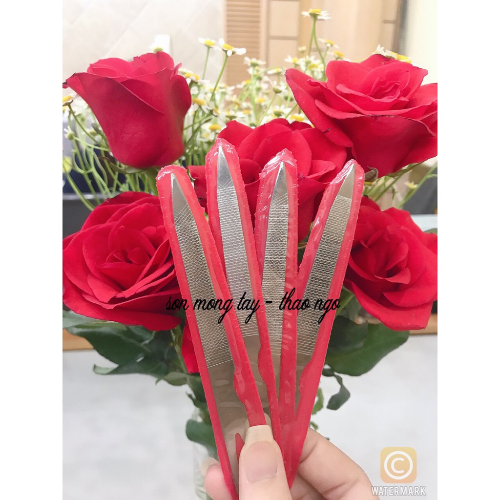 Dũa móng sắt (1 cây)