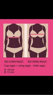 Combo đồ lót cho khách sỉ lẻ (4 quần lông)