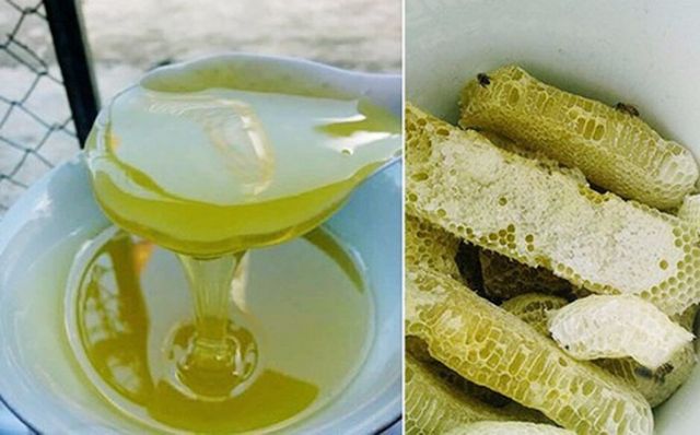 1 lit Mật Ong Hoa Bạc Hà nguyên chất