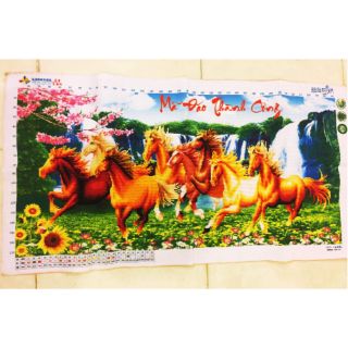 Tranh thêu thành phẩm mã đáo thành công