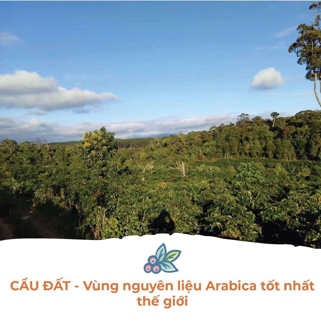 Cà Phê Arabica Cầu Đất Dalat Farm - Túi 250Gr (Dạng hạt)