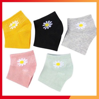 Combo 5 đôi tất vớ nam nữ hoa cúc chống hôi chân
