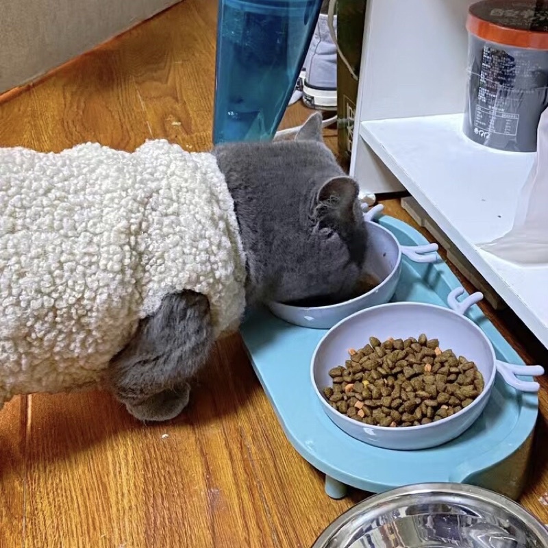 Bát đôi cho chó mèo bát ăn uống hình tuần lộc chống gù đế cao chất liệu nhựa xinh xắn, nghiêng 15 độ