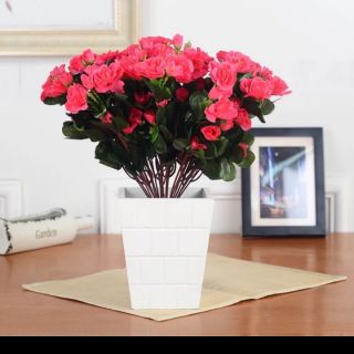 Hoa Giả - Cây Đỗ Quyên Các Màu