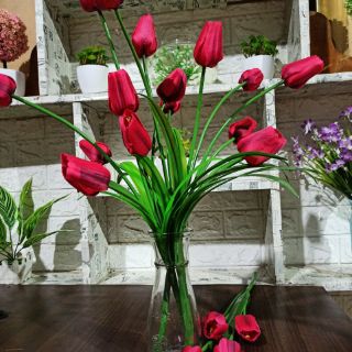 Hoa tulip lụa cành 5 bông