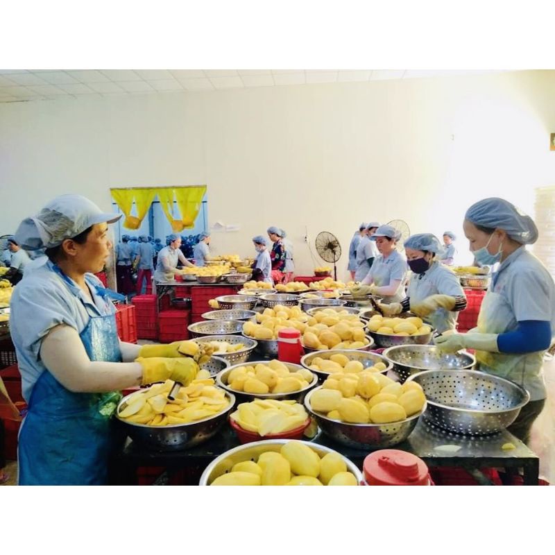 Xoài sấy dẻo loại xuất khẩu, chua chua ngọt ngọt, thơm mùi xoài chín, ít xơ