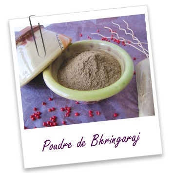 POUDRE DE BHRINGARAJ