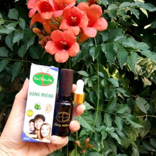 Dạ thảo liên (viêm họng, viêm amidan, sâu răng, hôi miệng) 20ml