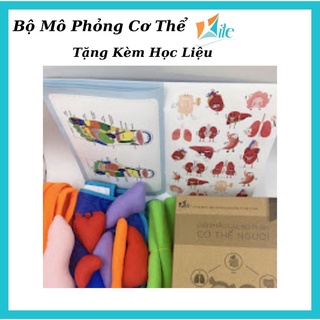 Bộ Trực Quan Sinh Học Mô Phỏng Bộ Phận Cơ Thể Cùng Bé Tìm Hiểu Phát Triển