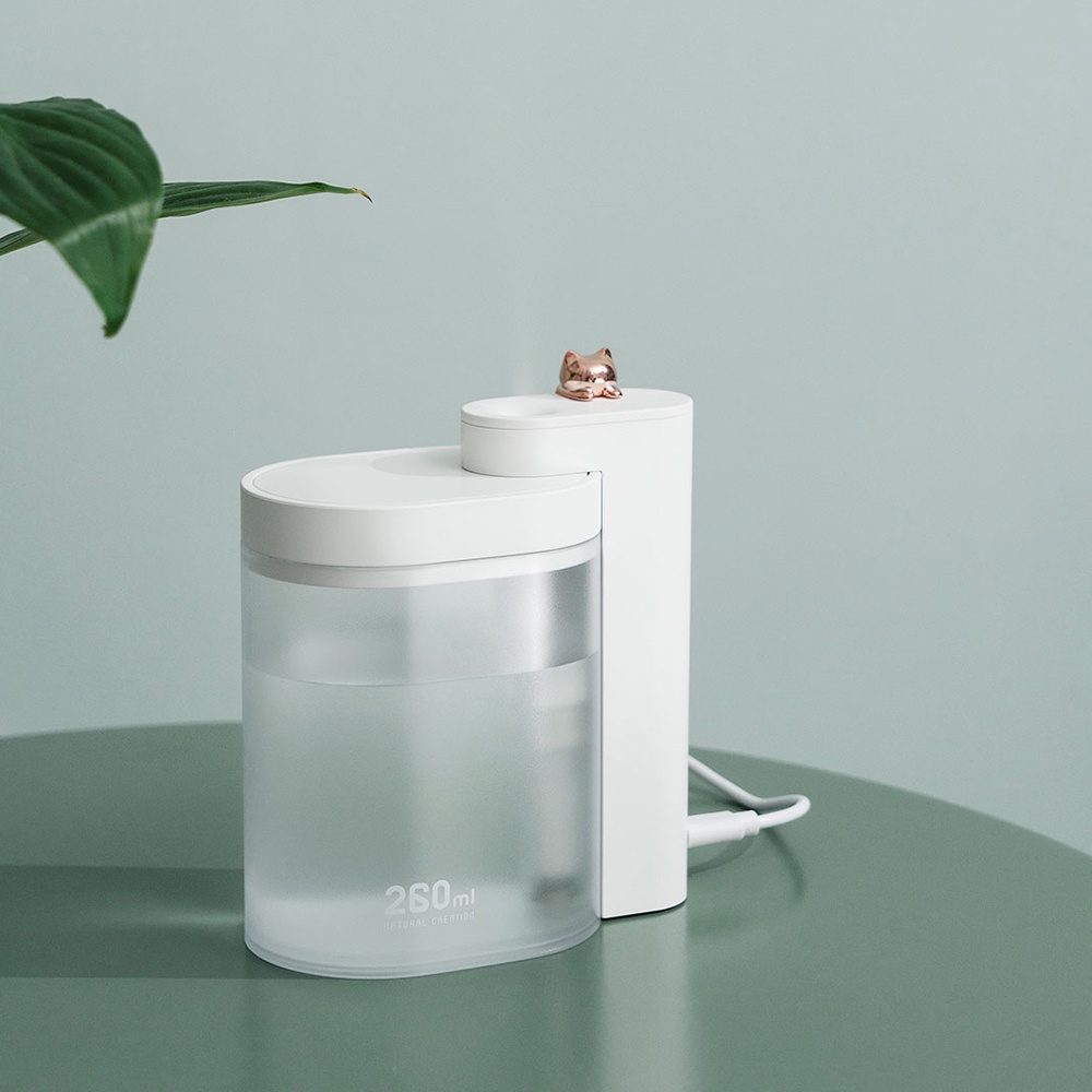 Máy Phun Sương Tạo Độ Ẩm Không Khí Để Bàn 260ML Không Ồn Giữ Độ Ẩm Trong Vòng 6 Tiếng Có Thể Sạc Lại Bằng Cổng USB