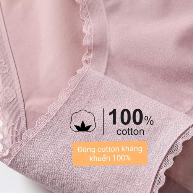 Quần Lót Nữ Su Lạnh Tim Cao Cấp Mềm Mại Mát Kháng Khuẩn Min Underwear- 86123