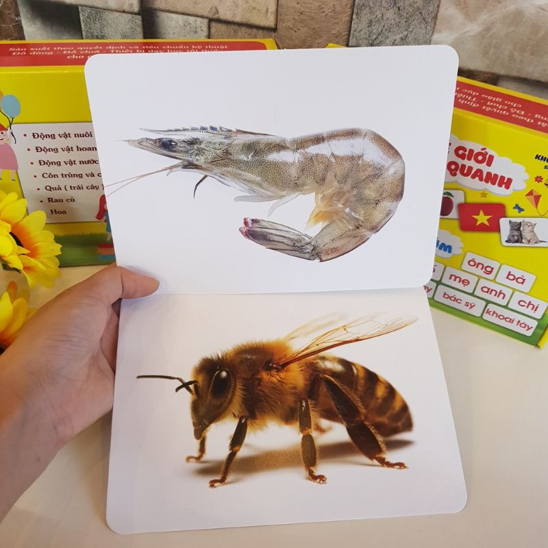 [HCM] THẺ HỌC THÔNG MINH THẾ GIỚI XUNG QUANH