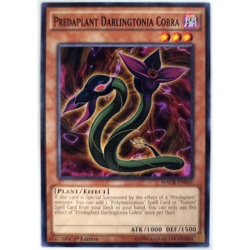 Predaplant Darlingtonia Cobra |EN| Common