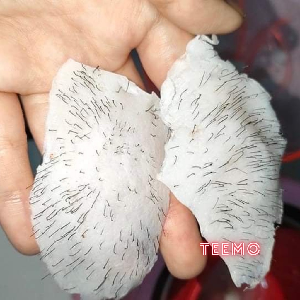 500gr Sáp Wax Lông Dừa Sữa - Wax Beans Coconut tặng kèm que
