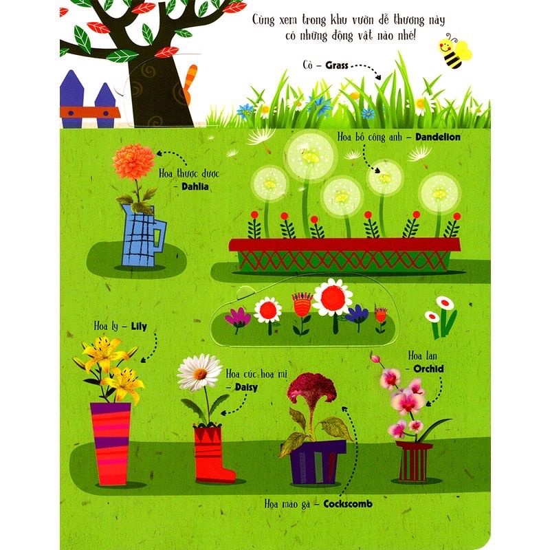 Sách - Lift the Flap - Lật mở khám phá thế giới thực vật - First 100 plants