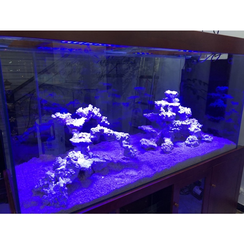 ĐÁ SAN HÔ - SETUP LAYOUT BỂ CÁ BIỂN