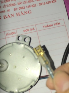 Mô tơ cánh vẫy to