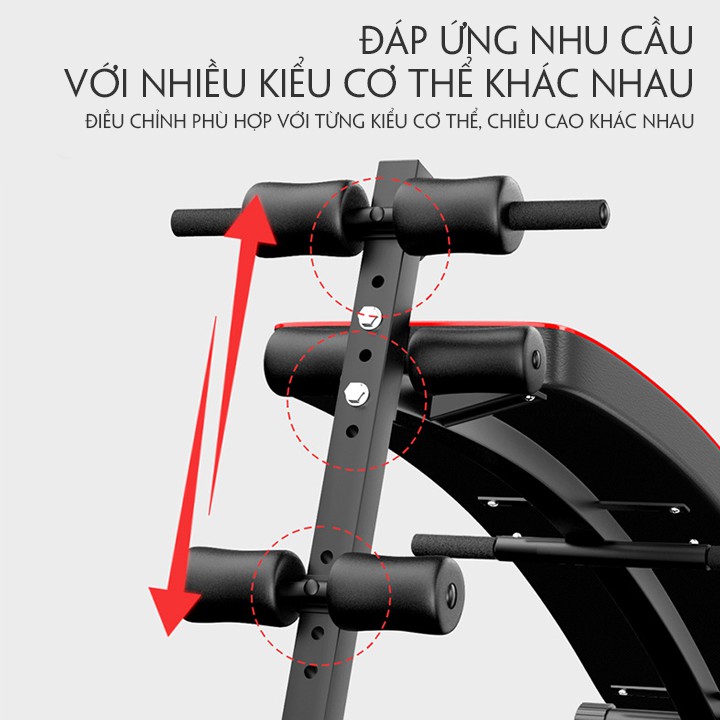 [Chính Hãng]Ghế tập tạ đa năng, máy tập body, Ghế cong tập cơ bụng đa năng với bộ hỗ trợ lực lò xo, với nhiều chế độ tập