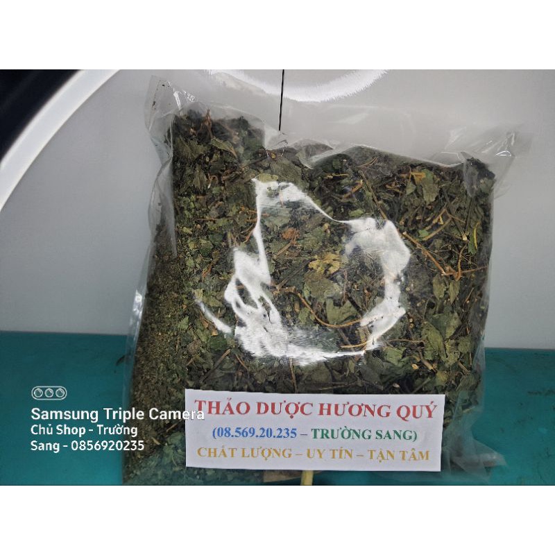 1Kg Cây Lá Lốt Khô, Sạch, Loại 1